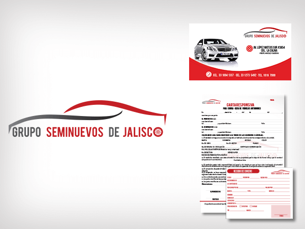 Apa Diseño Estudio Creativo Guadalajara Grupo Seminuevos de Jalisco